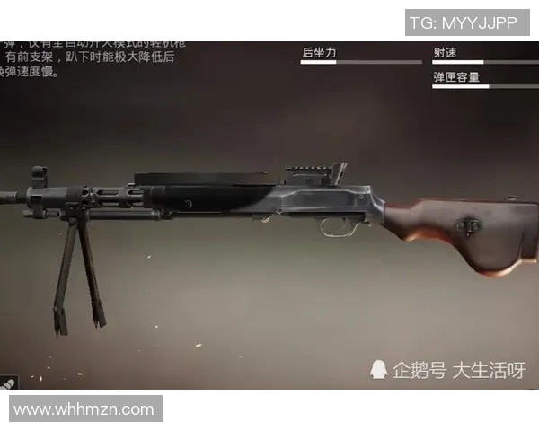 和平精英战术TES如何构建全面压制体系提升团队作战效率