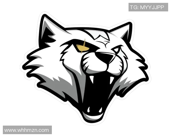 电竞新闻深入分析FPX在CSGO中的防反策略与战术运用 电竞新闻深入分析FPX在CSGO中的防反策略与战术运用