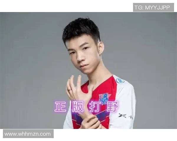 王者荣耀中LNG战队心理素质分析与提升策略探讨实时新闻 王者荣耀中LNG战队心理素质分析与提升策略探讨实时新闻